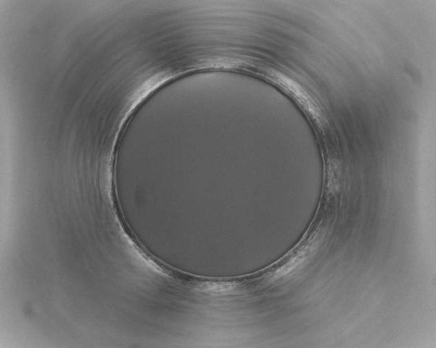 X0000116040802200912041811