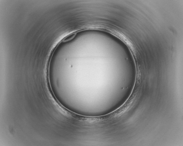 X0000116040803200912041810