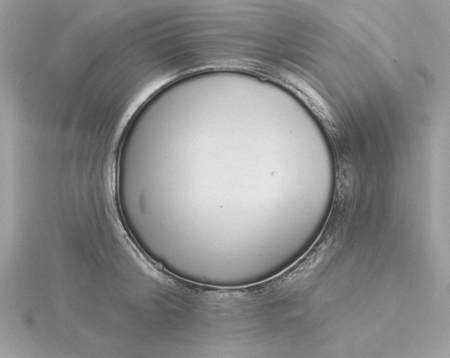 X0000116040804200912041810