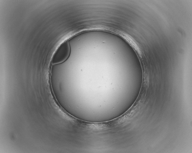 X0000116040805200912041810