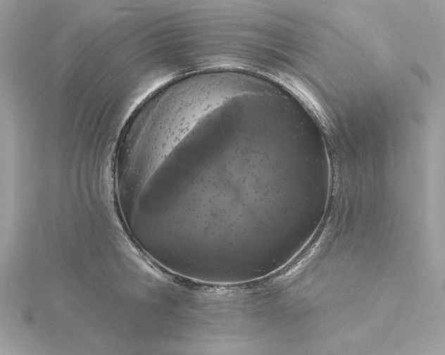 X0000116040806200912041810