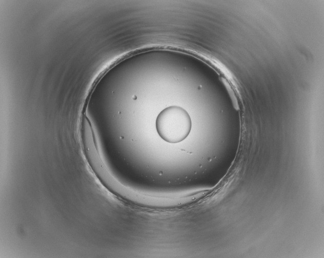 X0000116040807200912041810