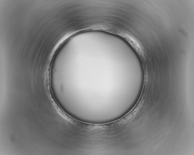 X0000116040808200912041810