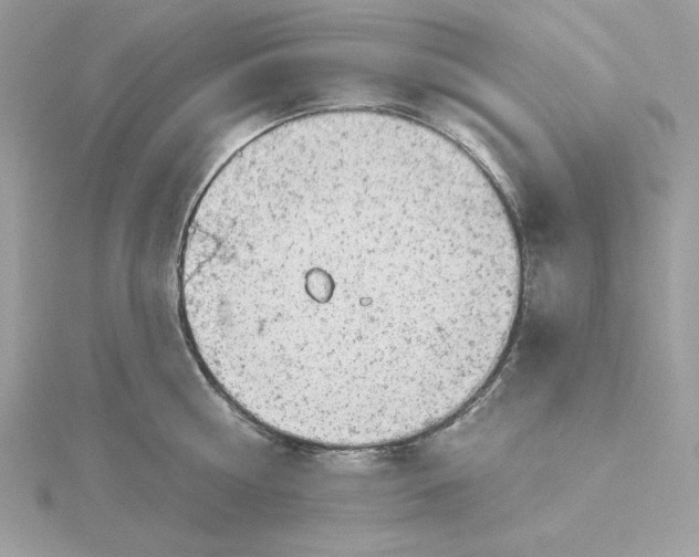 X0000116040810200912041810