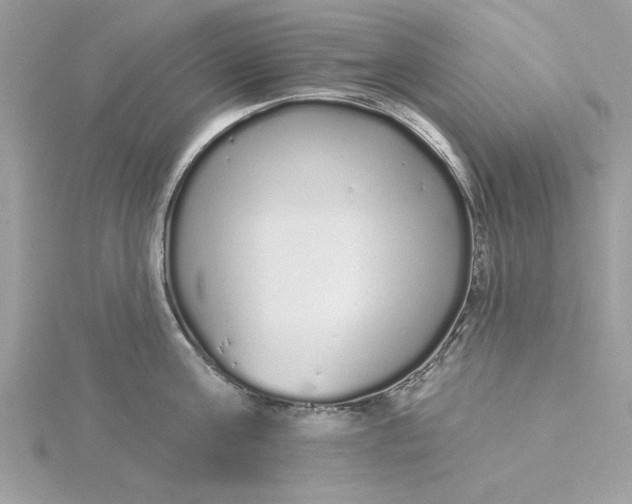 X0000116040811200912041810