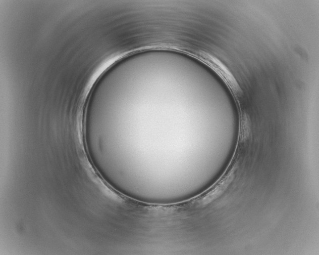 X0000116040812200912041810