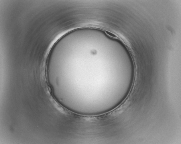 X0000116040816200912041810