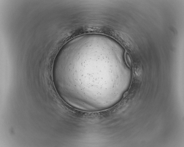 X0000116040817200912041810