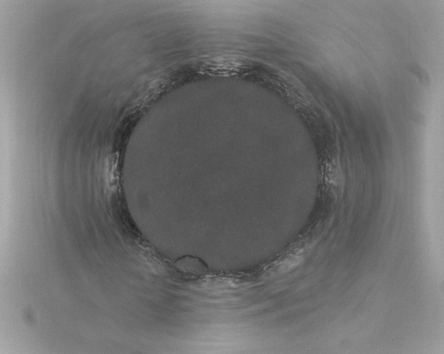 X0000116040818200912041810