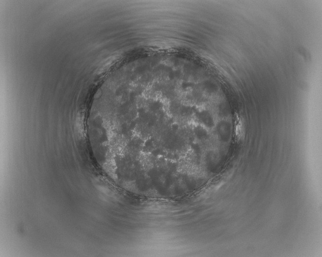 X0000116040819200912041810