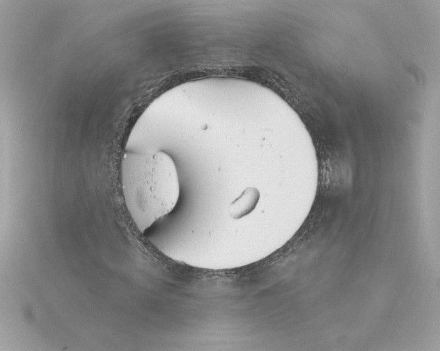 X0000116040820200912041810