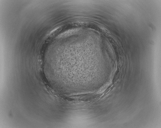 X0000116040822200912041810