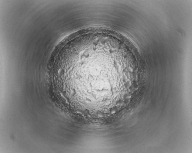 X0000116040823200912041810