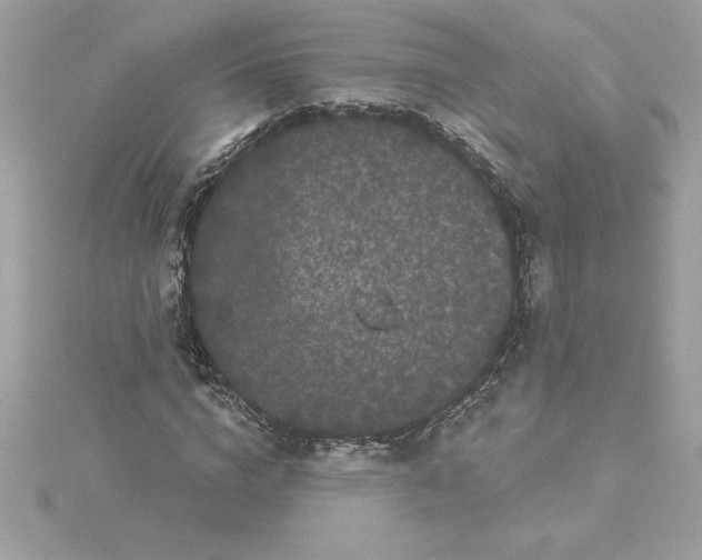 X0000116040824200912041810