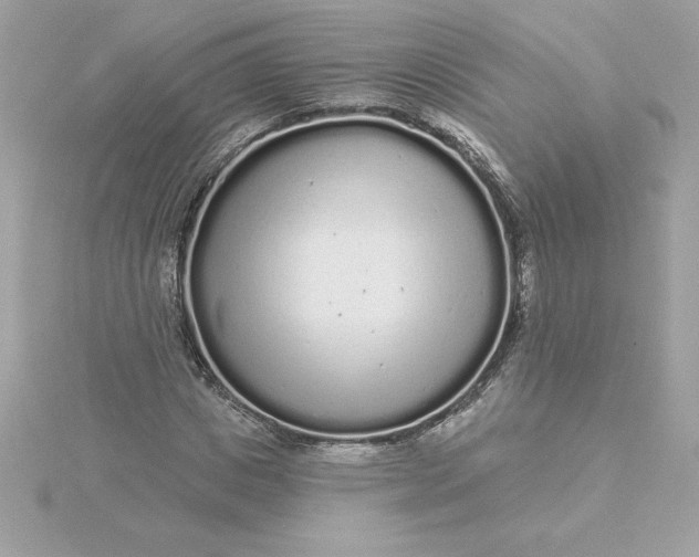 X0000116040825200912041810