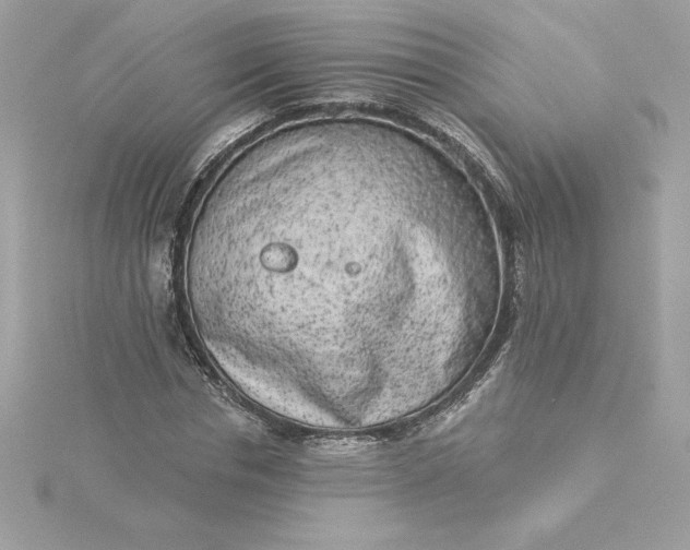 X0000116040826200912041810