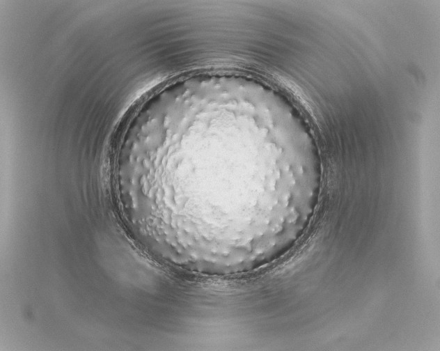 X0000116040827200912041810