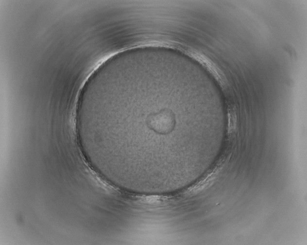 X0000116040828200912041810