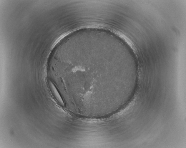 X0000116040829200912041810