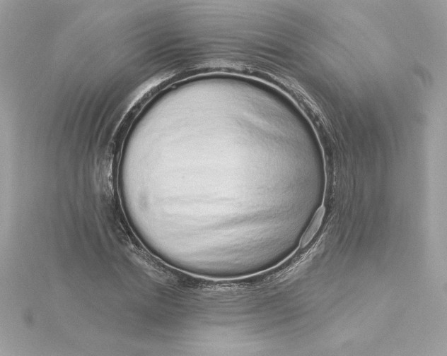 X0000116040830200912041810