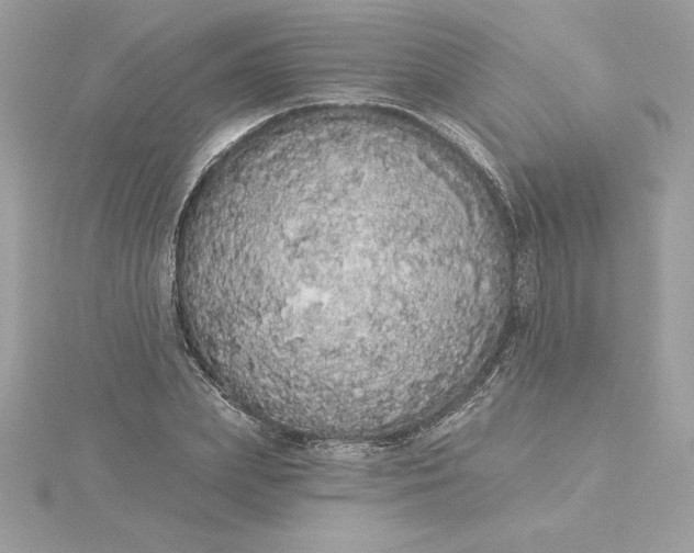 X0000116040831200912041810