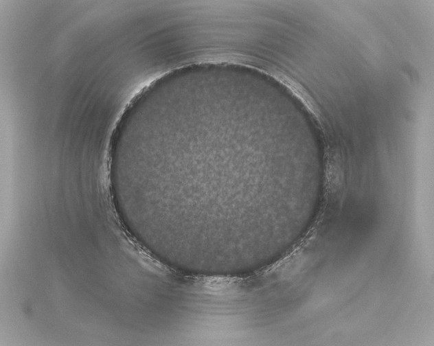 X0000116040832200912041810