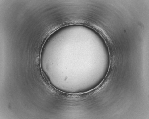 X0000116040833200912041810