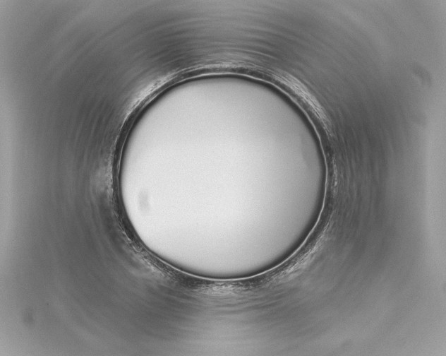 X0000116040834200912041810