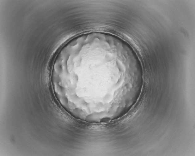 X0000116040835200912041810