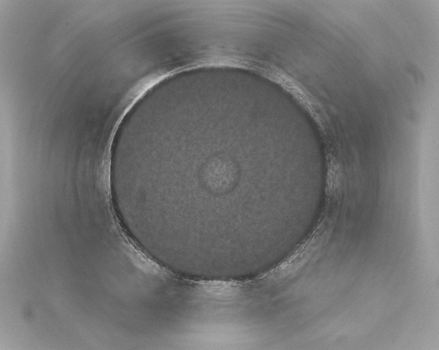 X0000116040836200912041810