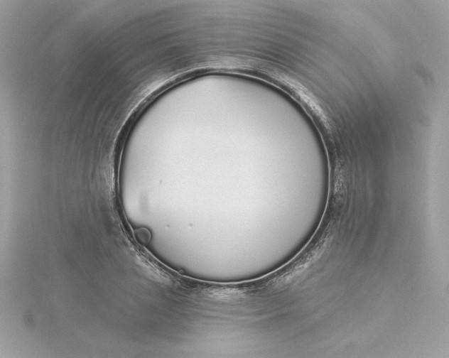 X0000116040837200912041810