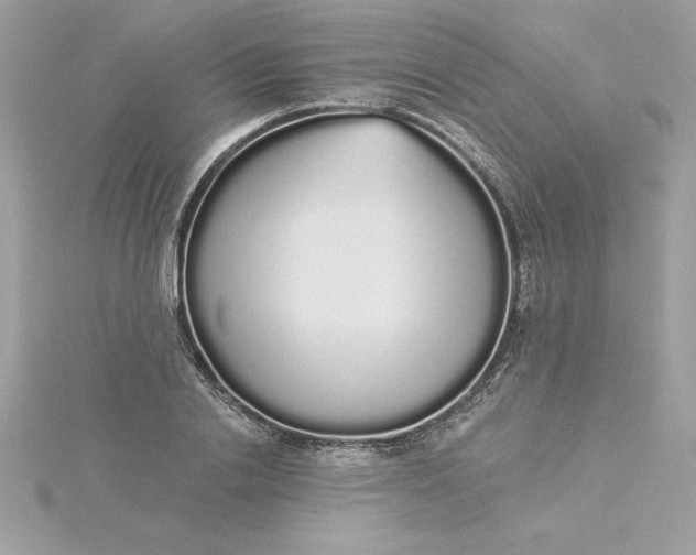 X0000116040838200912041810