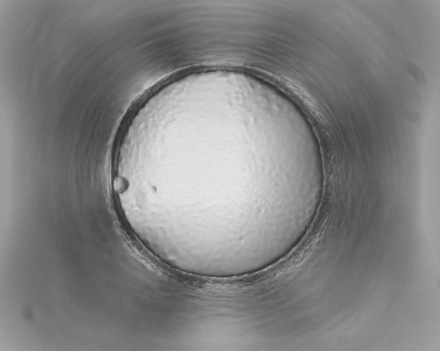 X0000116040840200912041810