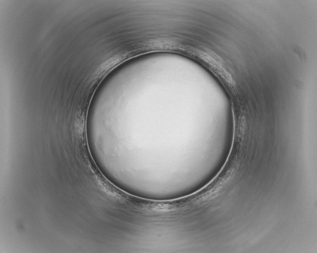 X0000116040841200912041810