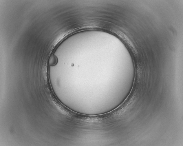 X0000116040842200912041810