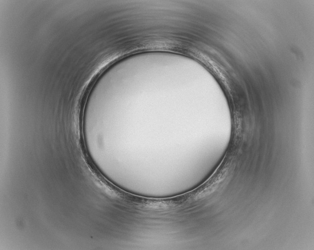 X0000116040843200912041810