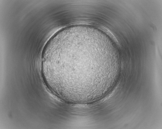 X0000116040844200912041810