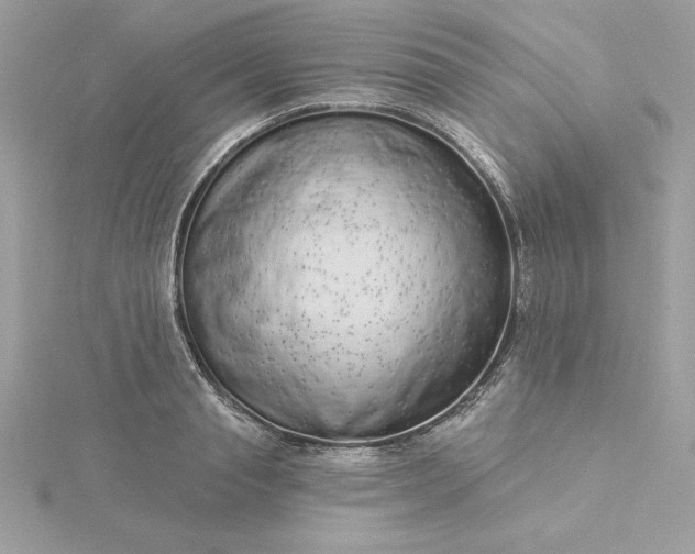 X0000116040845200912041810