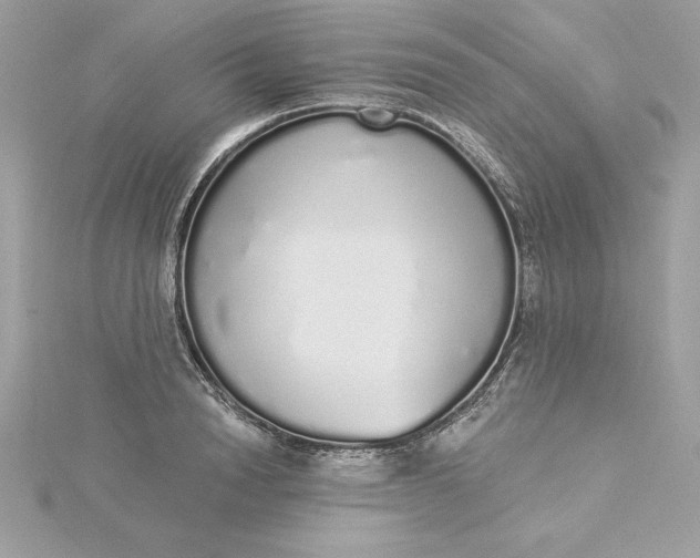 X0000116040846200912041810