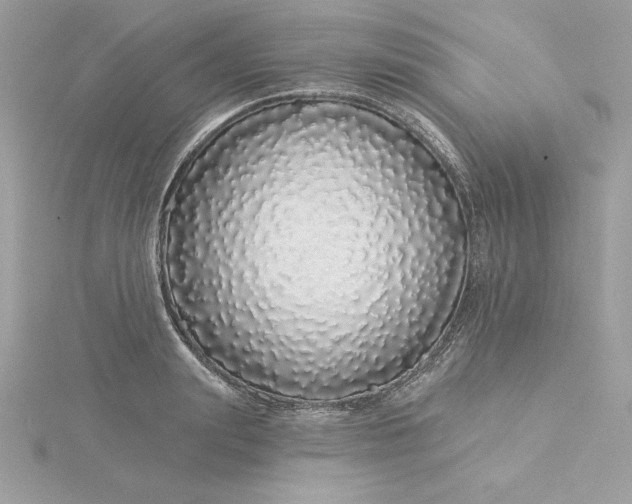 X0000116040847200912041810