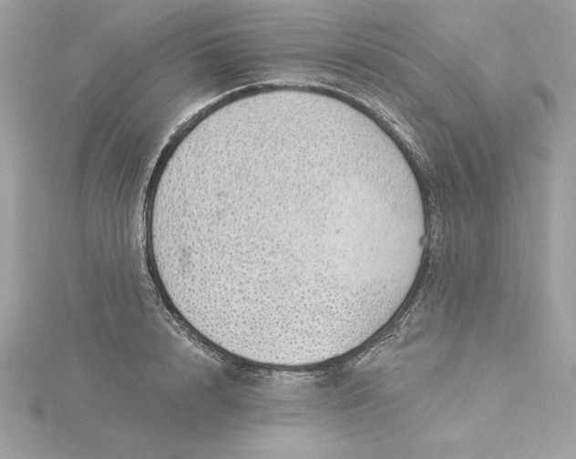 X0000116040848200912041810