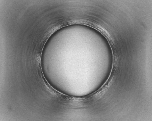 X0000116040849200912041810