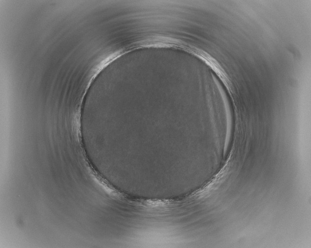 X0000116040850200912041810