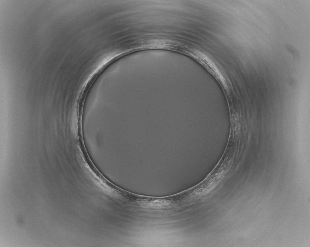 X0000116040851200912041810