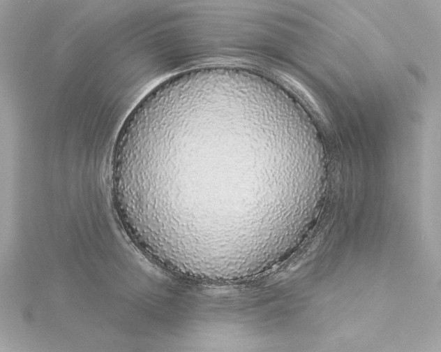 X0000116040852200912041810