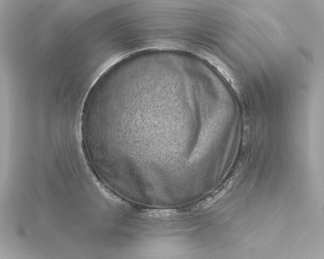 X0000116040853200912041810