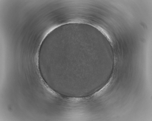 X0000116040854200912041810