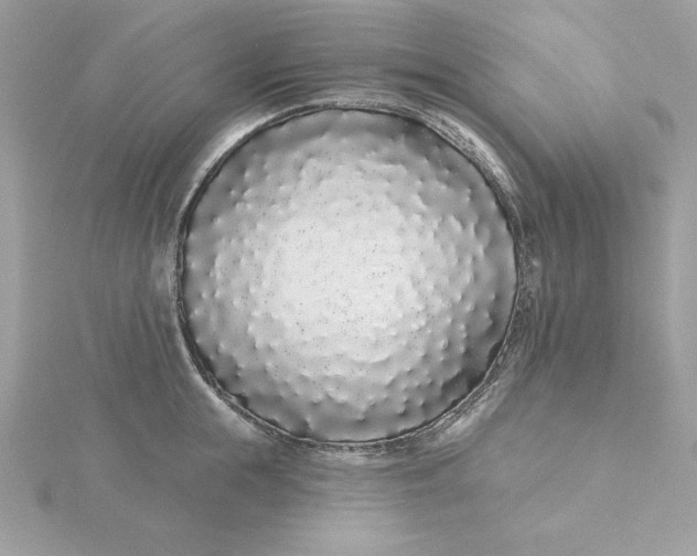 X0000116040855200912041810