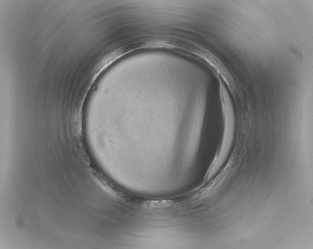 X0000116040858200912041810