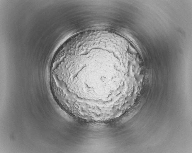 X0000116040859200912041810